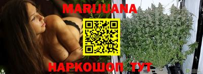 сатива Тверь